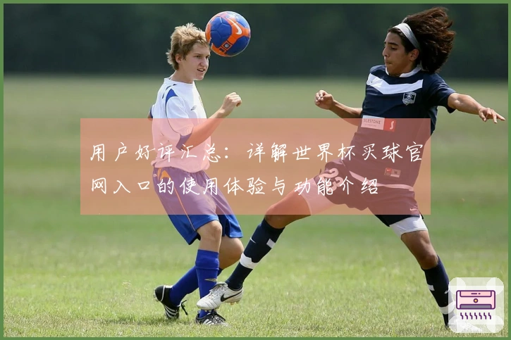 用户好评汇总：详解世界杯买球官网入口的使用体验与功能介绍