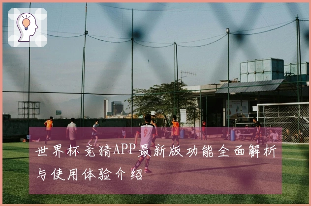 世界杯竞猜APP最新版功能全面解析与使用体验介绍