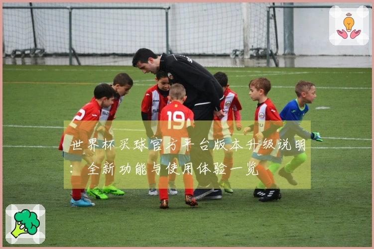 世界杯买球官方平台版本升级说明：全新功能与使用体验一览