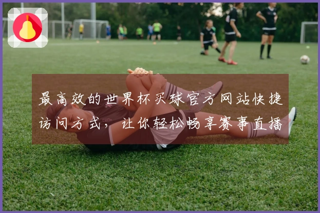 最高效的世界杯买球官方网站快捷访问方式,让你轻松畅享赛事直播