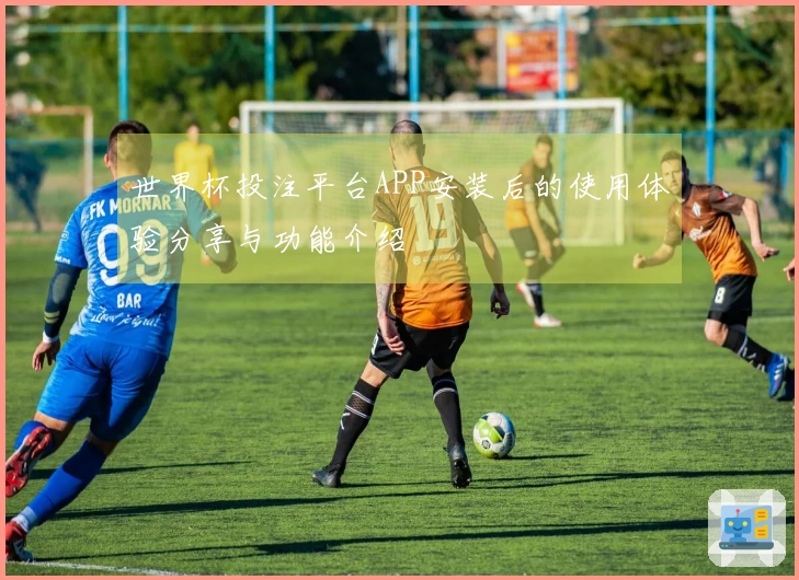 世界杯投注平台APP安装后的使用体验分享与功能介绍