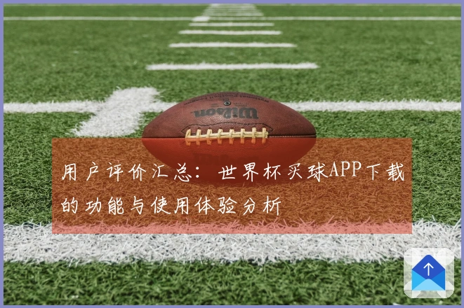 用户评价汇总：世界杯买球APP下载的功能与使用体验分析