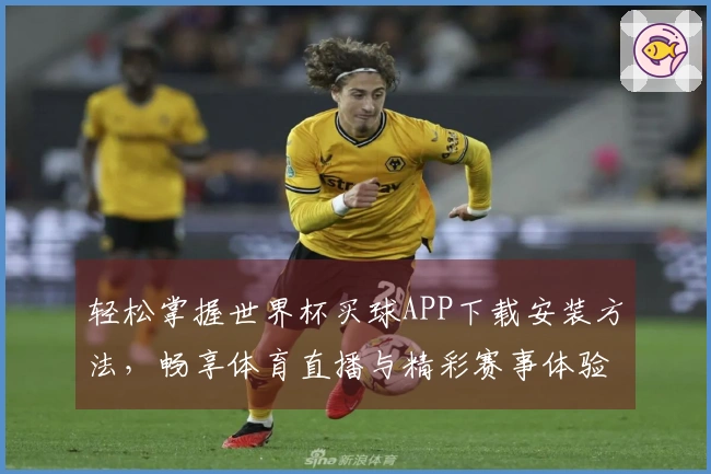 轻松掌握世界杯买球APP下载安装方法，畅享体育直播与精彩赛事体验