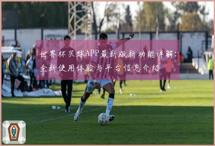 世界杯买球APP最新版新功能详解：全新使用体验与平台信息介绍