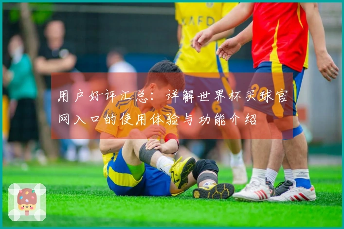 用户好评汇总：详解世界杯买球官网入口的使用体验与功能介绍