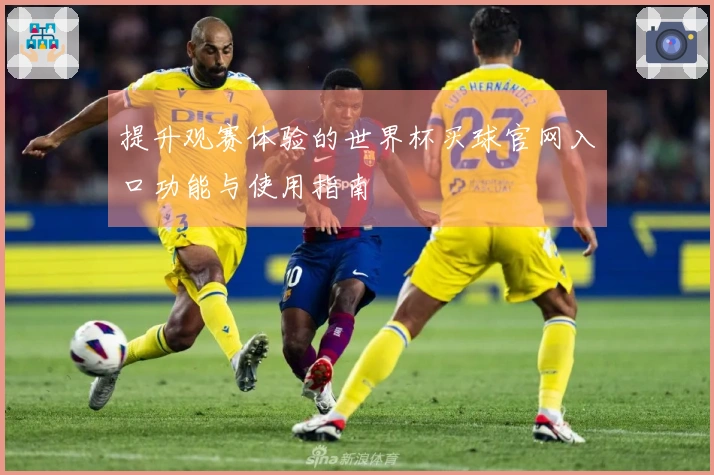 提升观赛体验的世界杯买球官网入口功能与使用指南